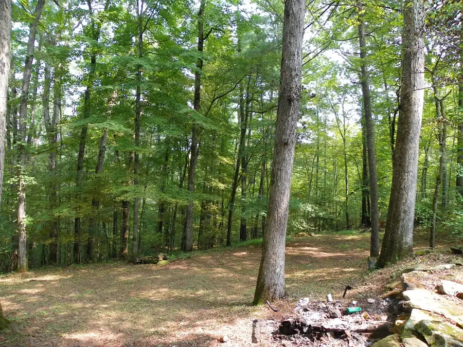 1555 Brown Creek Dr, Crossville, TN 38571 - #3