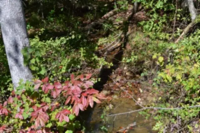 Lot 1 Aarow Trail, Monterey, TN 38574 - #1