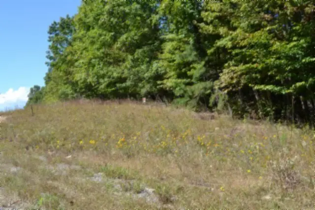 Lot 1 Aarow Trail, Monterey, TN 38574 - #2
