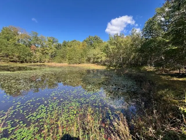 00 Hwy 70 N, Monterey, TN 38574 - Image #3