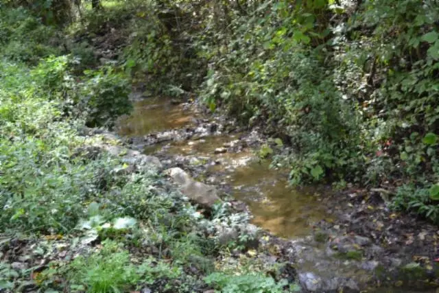 10.28ac Campbell Hill Rd, Gainesboro, TN 38562 - Image #1