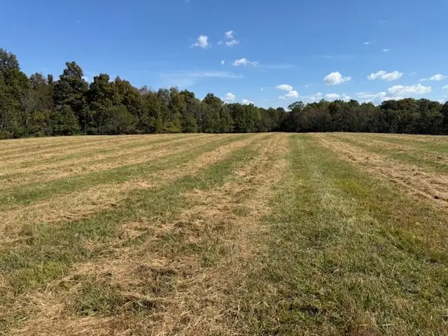 #3