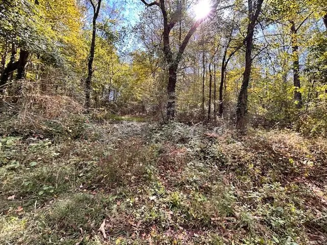 0 Main St N, Sparta, TN 38583 - Image #2