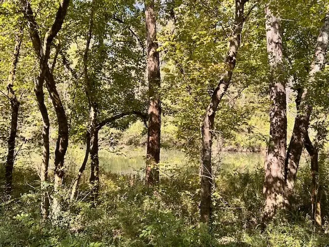 0 Main St N, Sparta, TN 38583 - Image #3