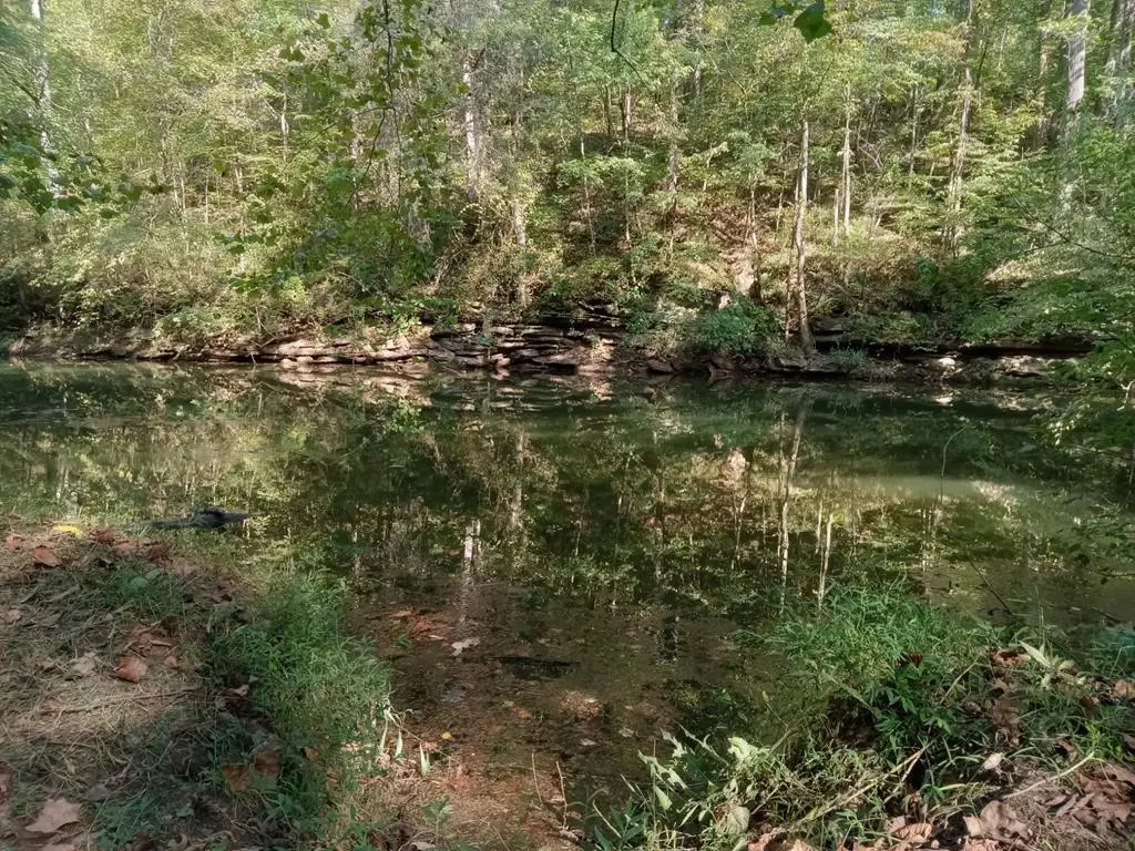 6750 Spencer Rd, Rock Island, TN 38581 - #1