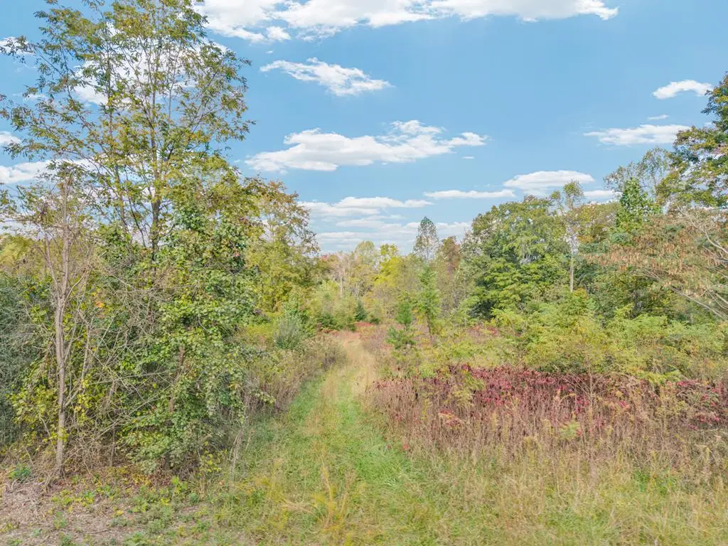 202 Sells Cemetery Rd, Wilder, TN 38589 - #1
