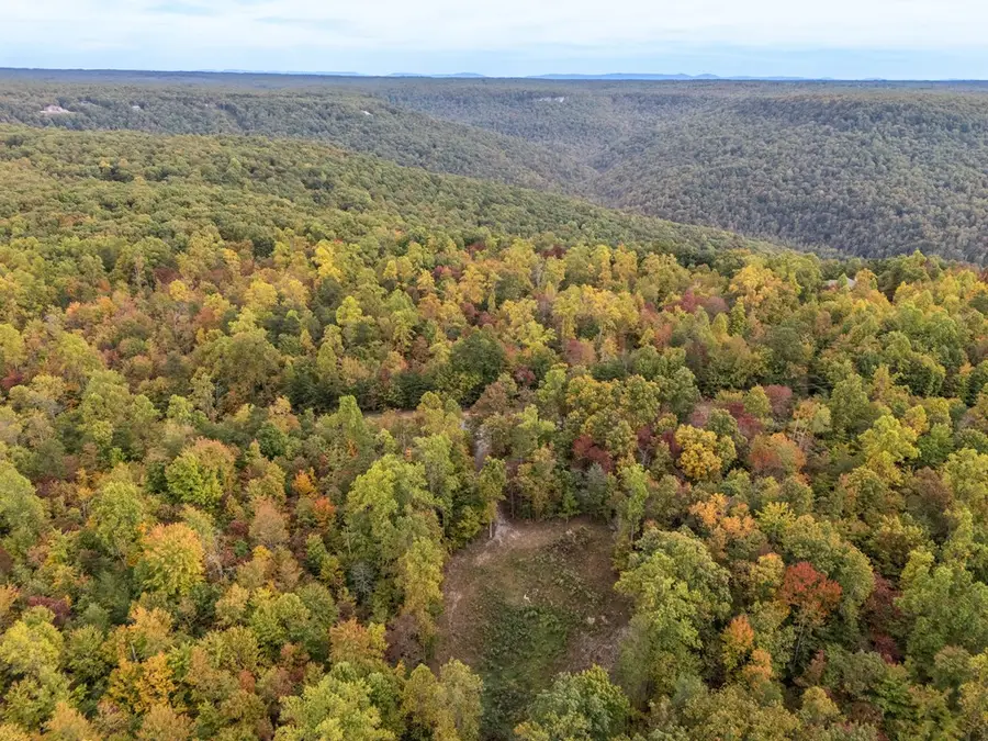 592 Cumberland Cove Rd, Monterey, TN 38574 - #3