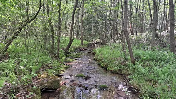 Lot 20 Timber Valley Trail (pca), Rockwood, TN 37854