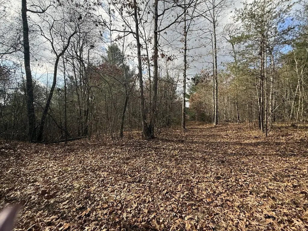 10.77 Ac Valerie Dr, Deer Lodge, TN 37726-3506 - #1