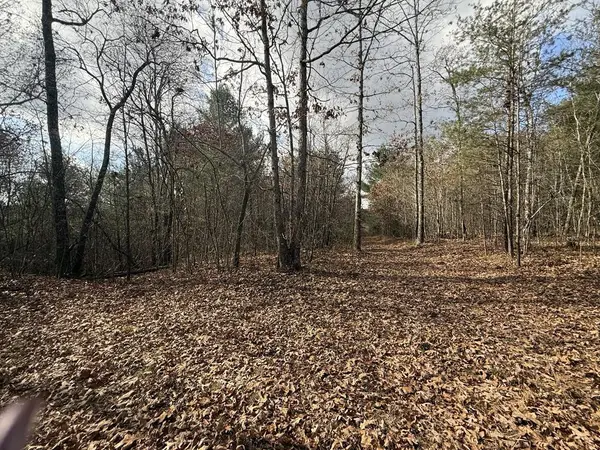 10.76 Ac Valerie Dr, Deer Lodge, TN 37726-3506