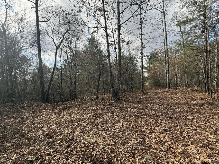 10.77 Ac Valerie Dr, Deer Lodge, TN 37726-3506 - #3