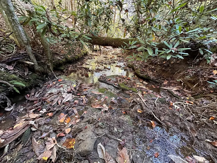 18.6 Acres Cave Branch Rd., Allardt, TN 38504 - #3