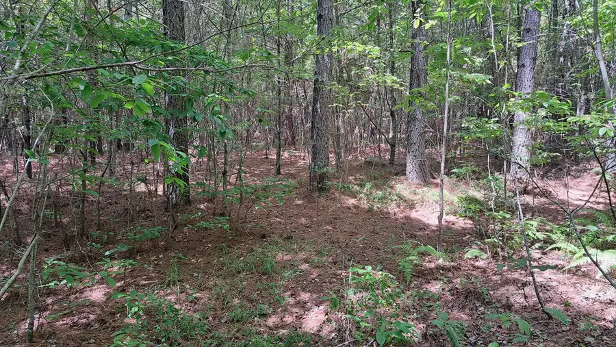 Lot 21 Timber Valley Trail (pca), Rockwood, TN 37854 - Image #2