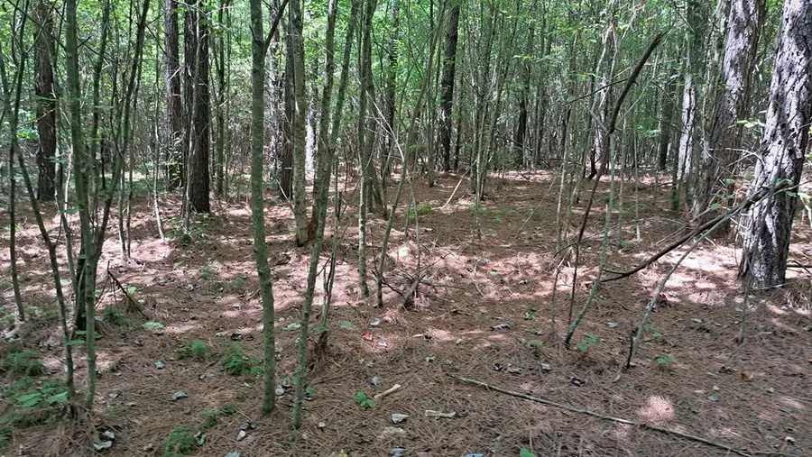 Lot 21 Timber Valley Trail (pca), Rockwood, TN 37854 - Image #3