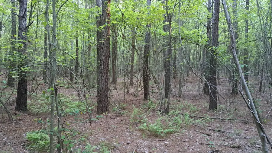 Lot 22 Timber Valley Trail (pca), Rockwood, TN 37854 - Image #2