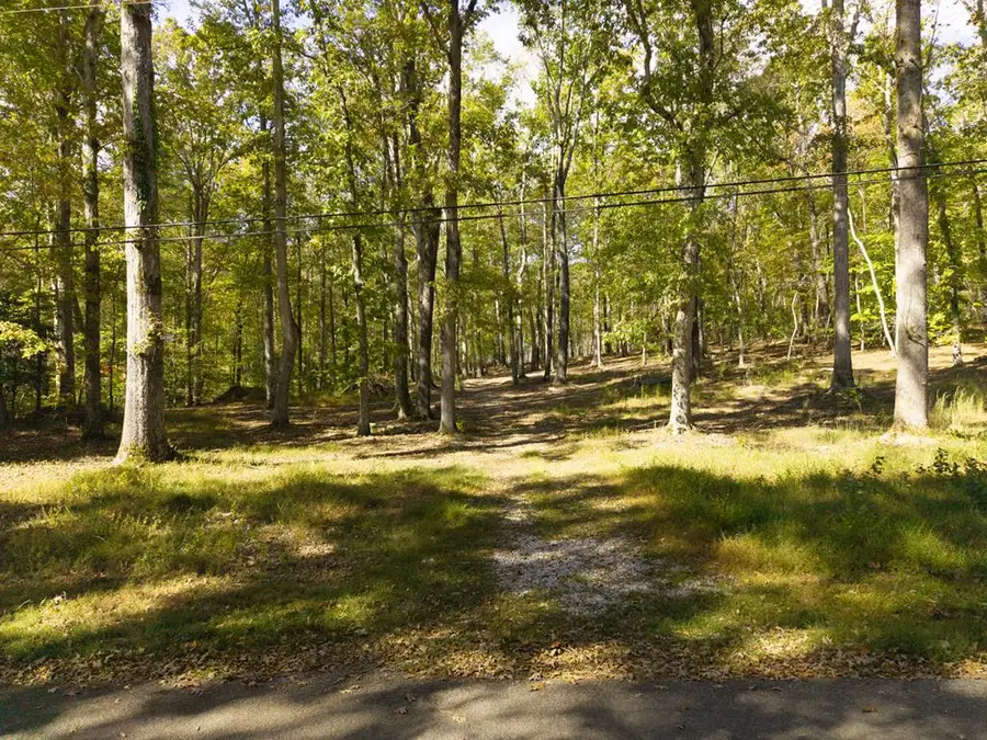 484 Apollo Dr, Spring City, TN 37381 - Image #2