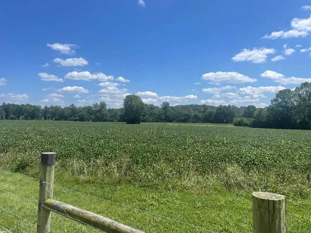 25 ac Ditty Road, Cookeville, TN 38506 - #1