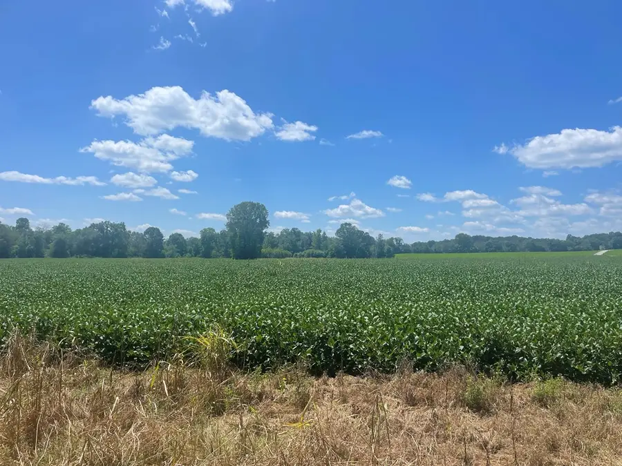 25 ac Ditty Road, Cookeville, TN 38506 - #2