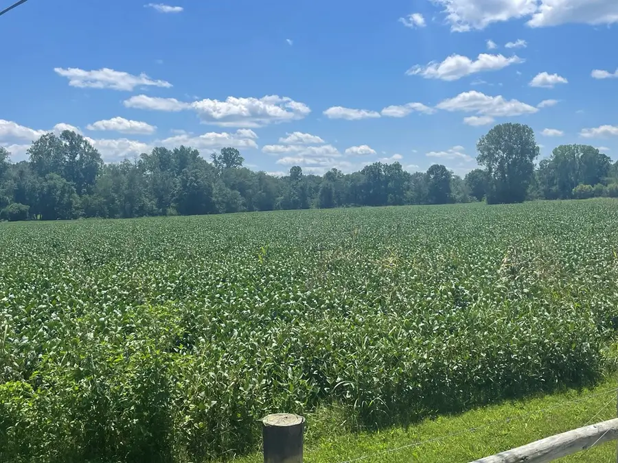 25 ac Ditty Road, Cookeville, TN 38506 - #3