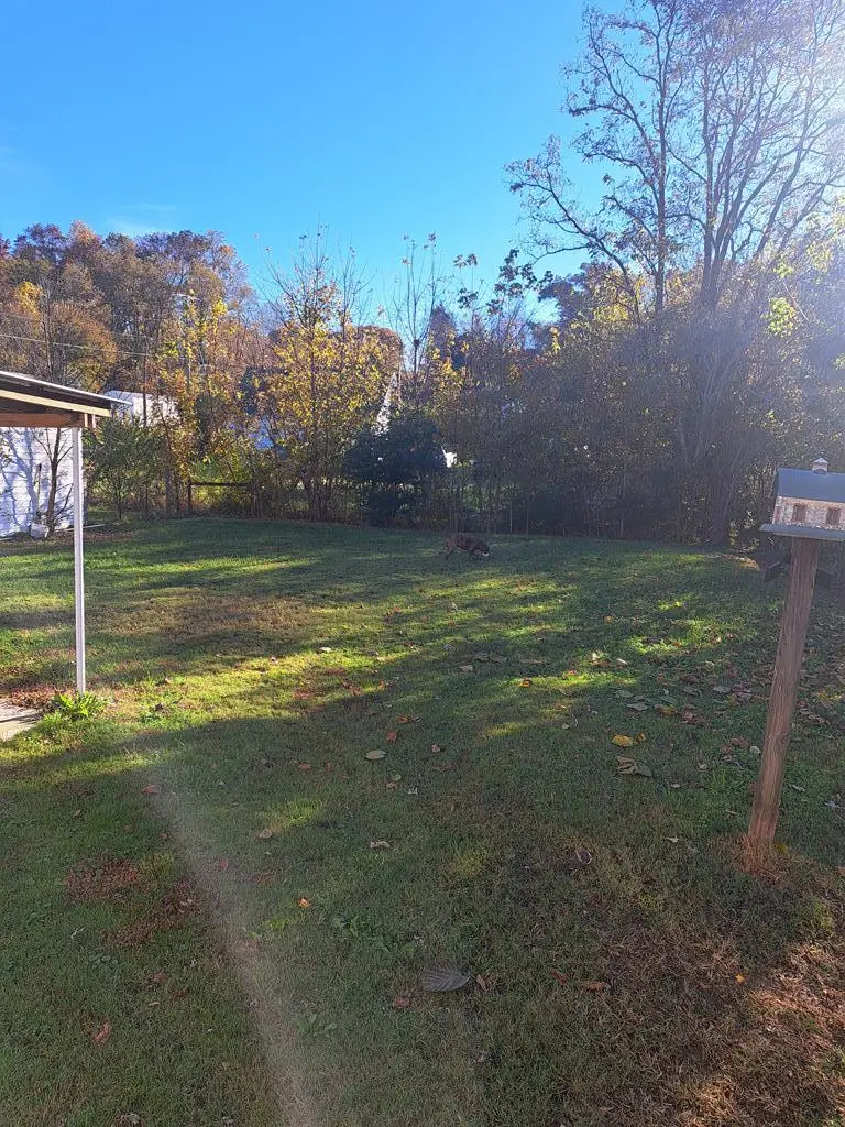 1008 Honeysuckle Lane, Byrdstown, TN 38549 - #3