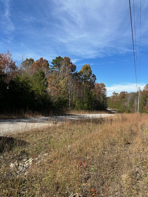 Lot 321 Hilltop Lane, Wilder, TN 38589 - Image #3