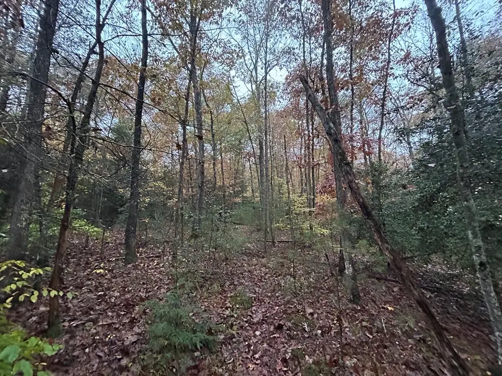 n/a Graveyard Road E/o, Jamestown, TN 38556 - Image #1