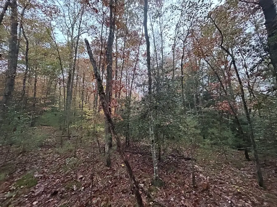 n/a Graveyard Road E/o, Jamestown, TN 38556 - Image #2