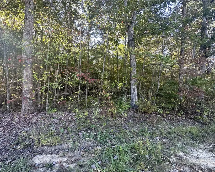 0 Falling Leaf Rd, Jamestown, TN 38556 - #3