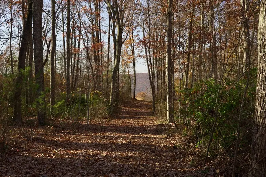 Lot 38 Overlook Dr., Spencer, TN 38585 - Image #3