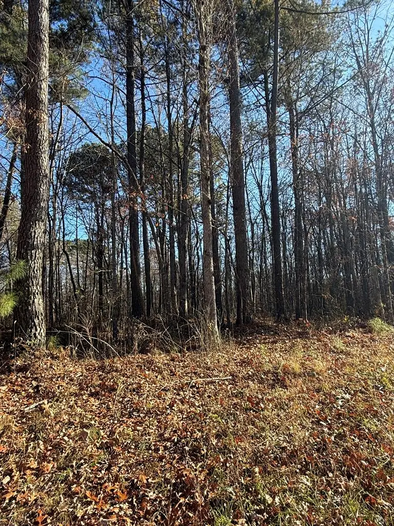 Lot 9 Highway 70n, Monterey, TN 38574 - Image #1