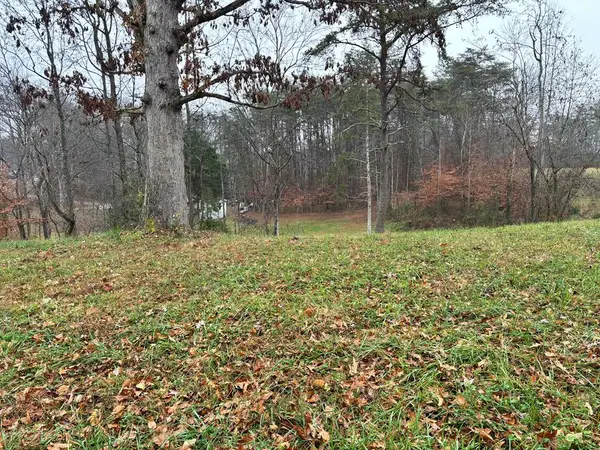 202 Vaughn Ln, LIVINGSTON, TN 38570