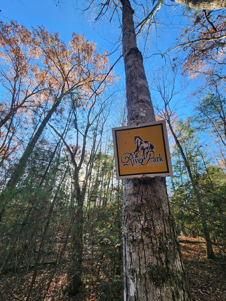 Lot 27 Cliffhouse Way, Jamestown, TN 38556 - Image #2