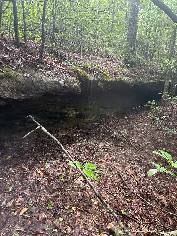 Lot 323 Flat Top View, WILDER, TN 38589