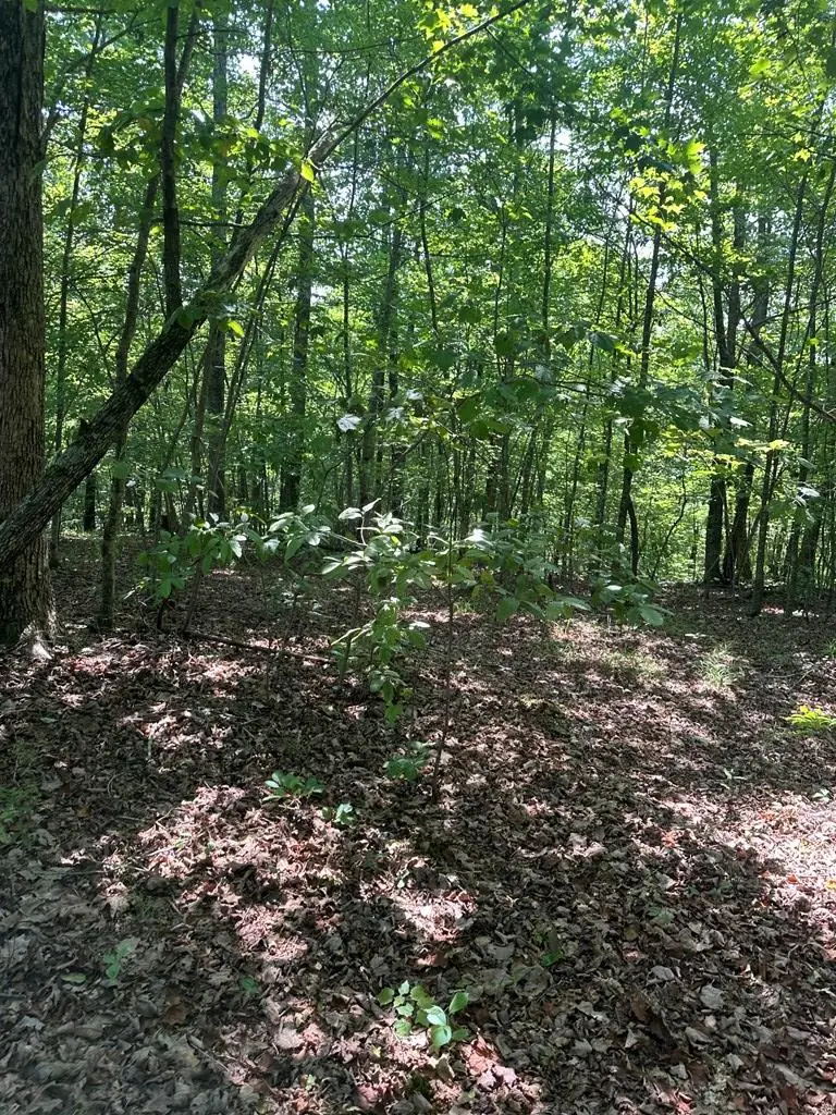 Lot 323 Flat Top View, Wilder, TN 38589 - #3