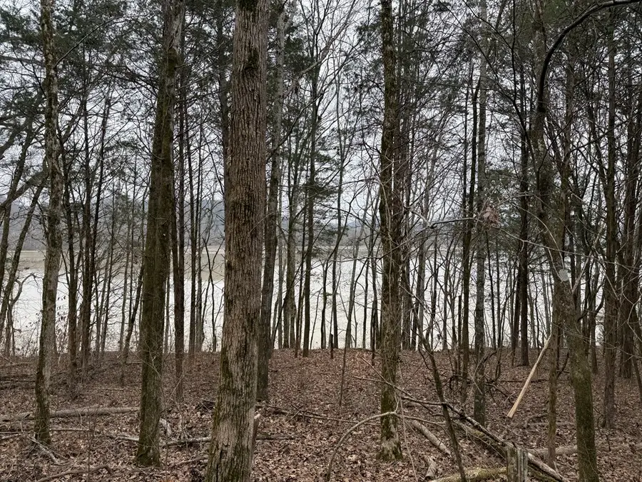 37.88 Ac Cook Ln, Gainesboro, TN 38562 - #3