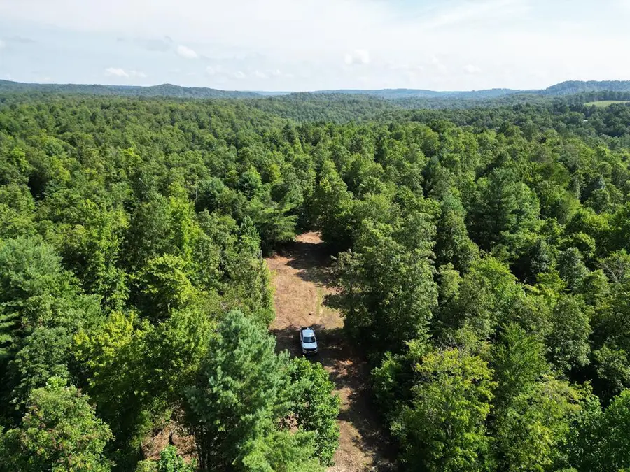 Tract 2 Sheep Ranch Road, Robbins, TN 37852 - Image #2