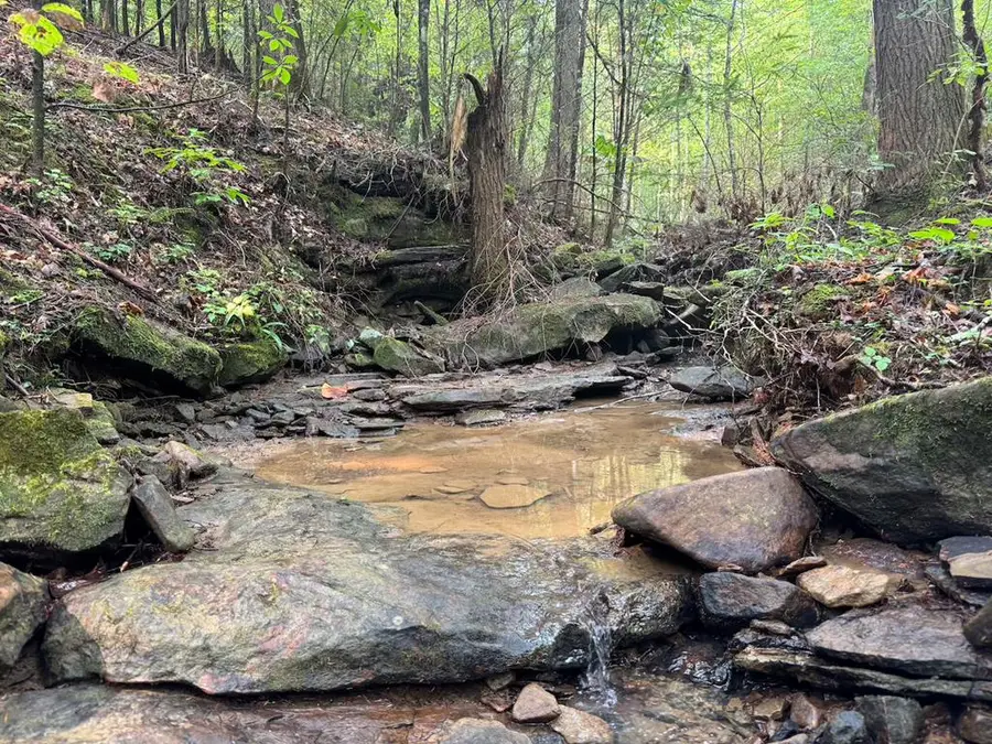 Tract 2 Sheep Ranch Road, Robbins, TN 37852 - Image #3