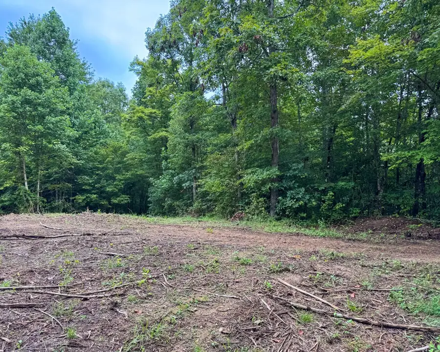Tract 7 Sheep Ranch Road, Robbins, TN 37852 - Image #3