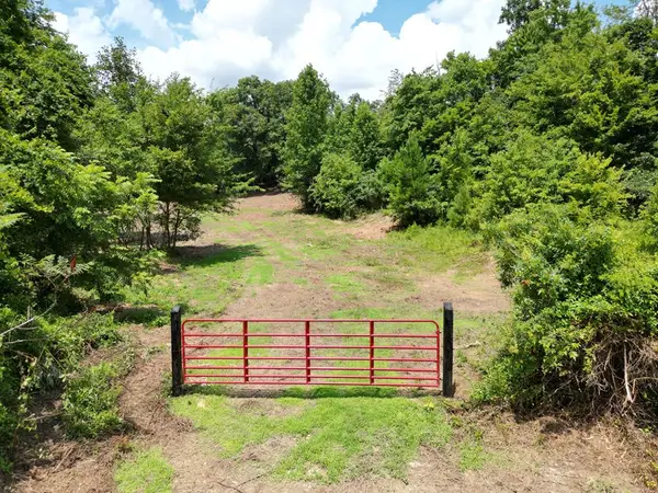 Tract 9 Sheep Ranch Road, Robbins, TN 37852