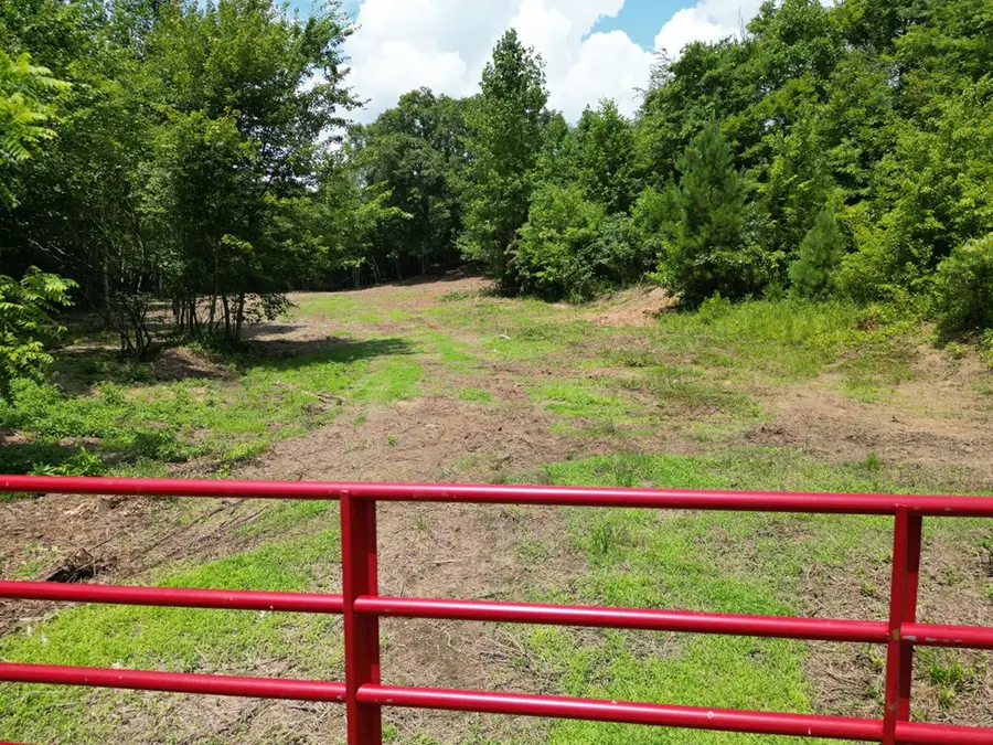 Tract 9 Sheep Ranch Road, Robbins, TN 37852 - Image #2