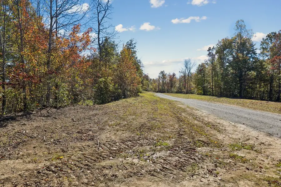 Tract 5 Off Of Sheep Ranch Road, Robbins, TN 37852 - Image #3