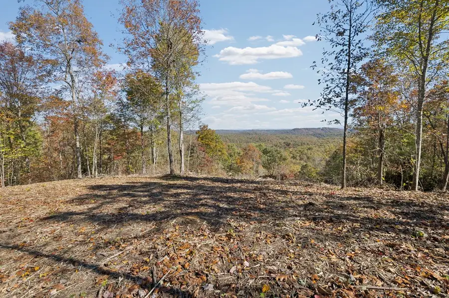 Tract 6 Off Of Sheep Ranch Road, Robbins, TN 37852 - Image #3