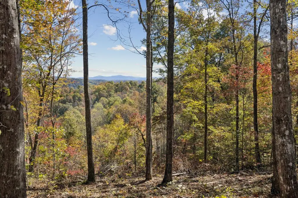 Tract 7 Off Of Sheep Ranch Road, Robbins, TN 37852 - Image #1