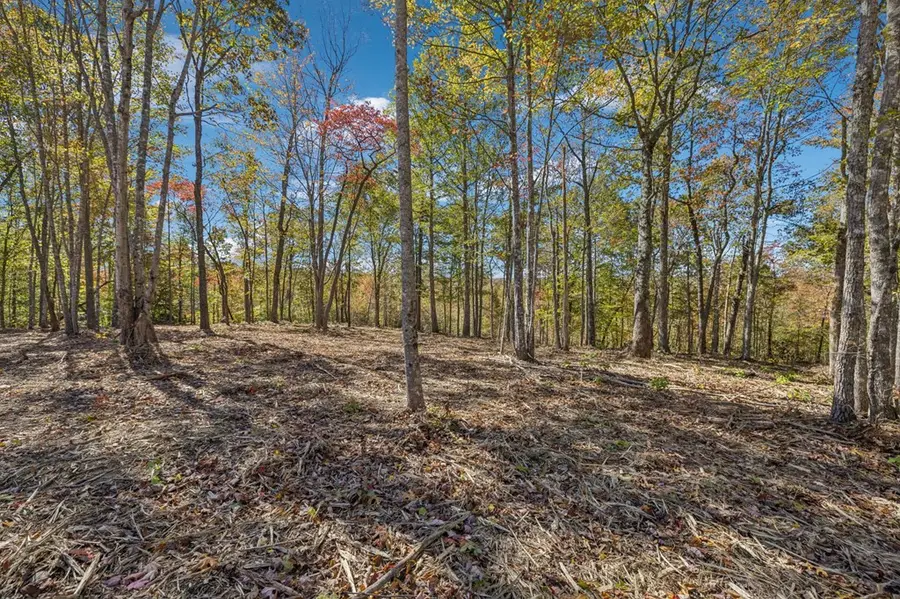 Tract 9 Off Of Sheep Ranch Road, Robbins, TN 37852 - Image #2