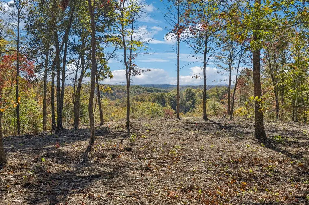Tract 11 Off Of Sheep Ranch Road, Robbins, TN 37852 - Image #1
