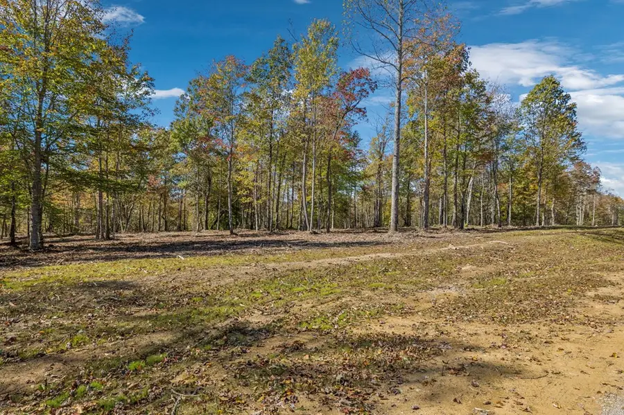 Tract 11 Off Of Sheep Ranch Road, Robbins, TN 37852 - Image #3