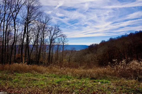 36AC White Oak Flatt Rd, SPARTA, TN 38583