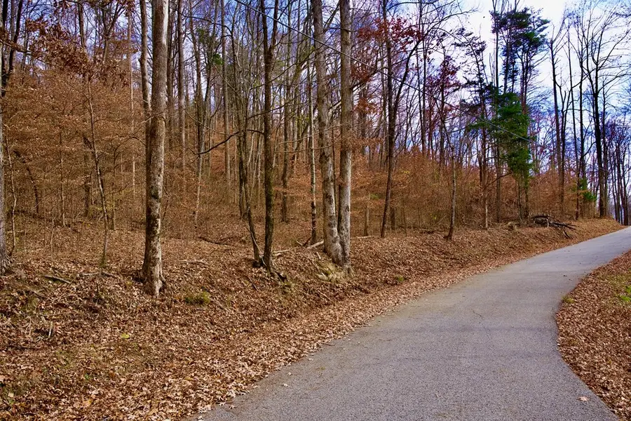 36AC White Oak Flatt Rd, Sparta, TN 38583 - Image #2