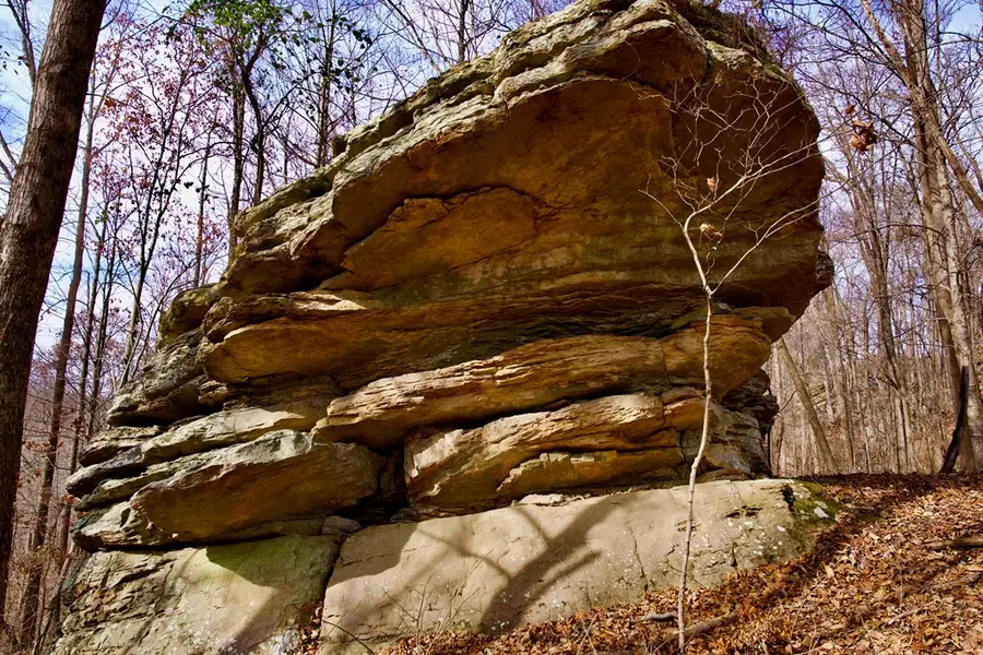 36AC White Oak Flatt Rd, Sparta, TN 38583 - Image #3