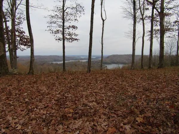 Lot 27C E Rockfish Rd, Hilham, TN 38568